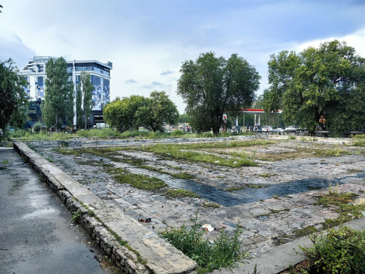 Легендарный фонтан рядом с воронежским парком «Дельфин» могут восстановить