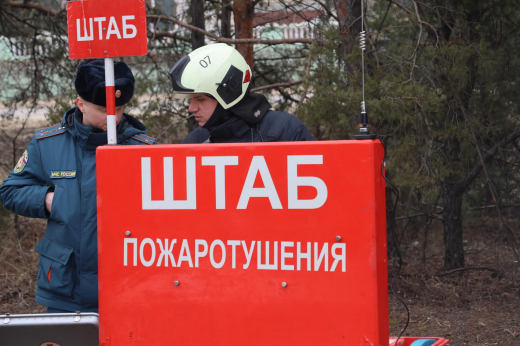 На территории Новоусманского лесничества прошли пожарно-тактические учения