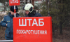 На территории Новоусманского лесничества прошли пожарно-тактические учения