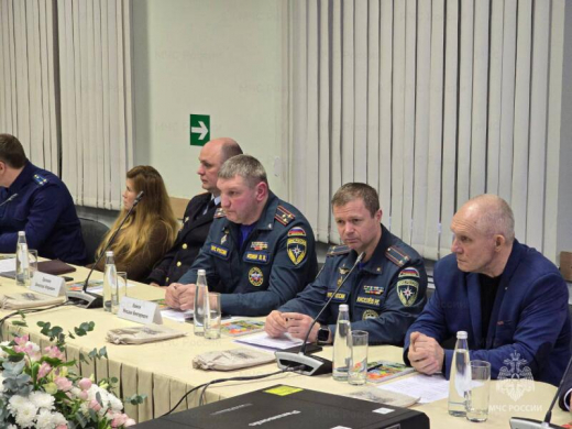 Представители МЧС России и бизнес-сообщества Наро-Фоминска обсудили вопросы пожарной безопасности