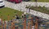 Буйство малолетних вандалов на новой площадке в Воронеже сняли на видео