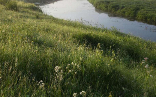 Суд заставил администрацию Аннинского района рассчитаться с предпринимателем за землю