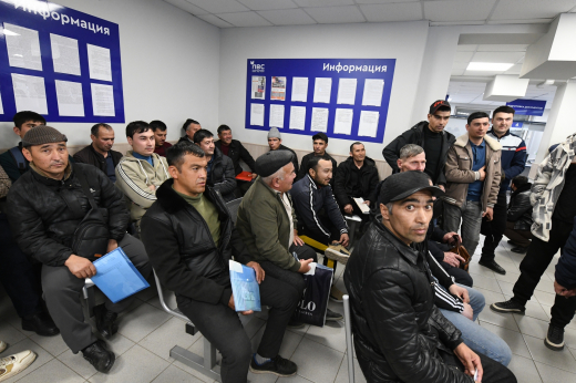 В Москве установили допустимые доли мигрантов в сферах занятости на 2027 г.