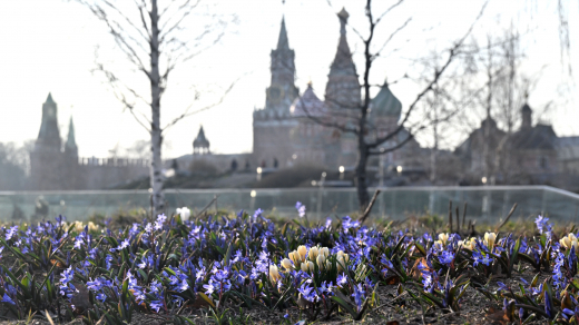 Синоптик Тишковец: в среду и четверг в Москве возможны небольшие дожди