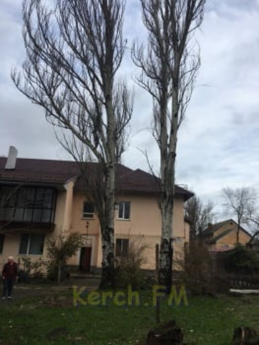 Керчане два шторма подряд пережили падающие деревья на детскую площадку