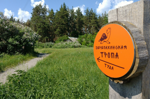 В Воронежском заповеднике после затопления открыли экотропу