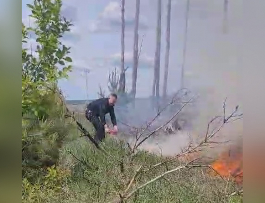 На кладбище под Воронежем вспыхнул пожар