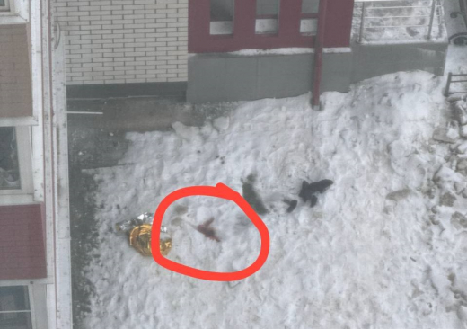 Тело 18-летнего парня нашли под окнами жилого дома