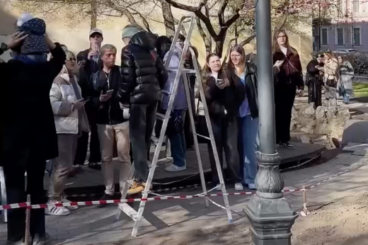 Москвичка сдает в аренду стремянку, чтобы фотографироваться с сакурой