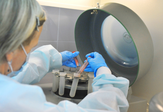 В Щукино ввели карантин по бешенству до 17 января 2026 года