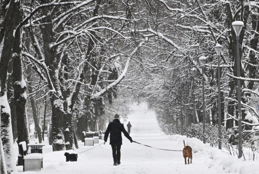 Позднякова: Зима может прийти в Москву во второй половине ноября