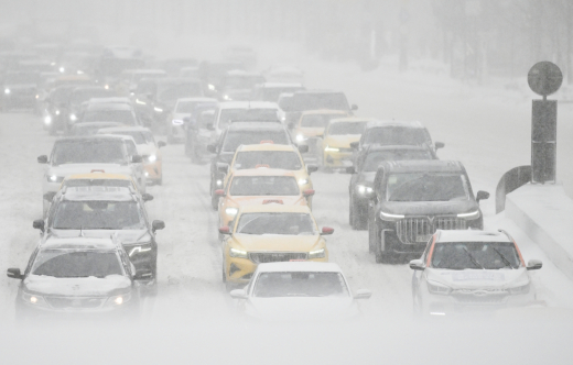 Тишковец: В Москве за сутки выпало больше половины месячной нормы снега