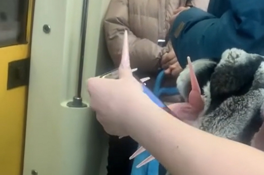 Пользователи сети назвали пассажирку московского метро «женой Фредди Крюгера»