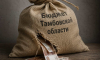 Тамбовские власти за год заработали на приватизации госимущества только 5 млн рублей