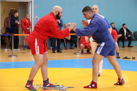 В Подмосковье проведены соревнования по самбо в память о сотрудниках МЧС России