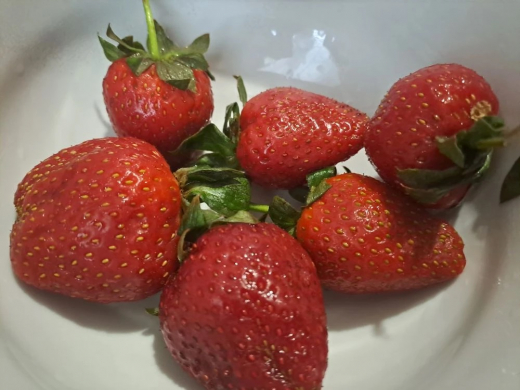 Свежий урожай клубники появился в продаже в Воронеже