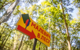 Новый экспозиционный маршрут открывается в парке Малевича