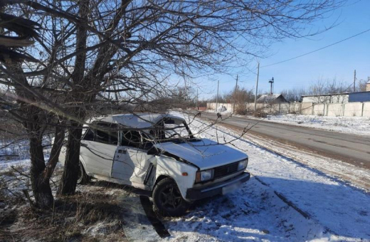 55-летняя женщина за рулём «пятёрки» врезалась в дерево под Воронежем