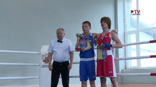 Воронежский спортсмен стал победителем домашнего межрегионального турнира по боксу