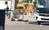 Водитель вышвырнул глухонемого пассажира из автобуса в Воронеже