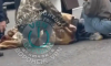 Пенсионер на «Ладе» сбил 11-летнюю девочку на пешеходном переходе в Воронеже