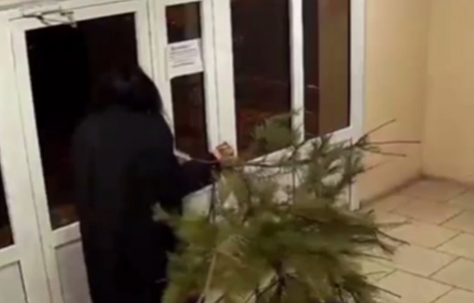 Скандал из-за выноса новогодней ёлки разгорелся в воронежском ЖК