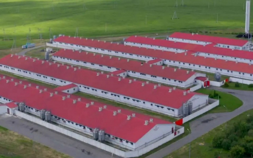 «Агро-Белогорье» потеряло более 1 млрд рублей из-за обстрелов Белгородской области в прошлом году