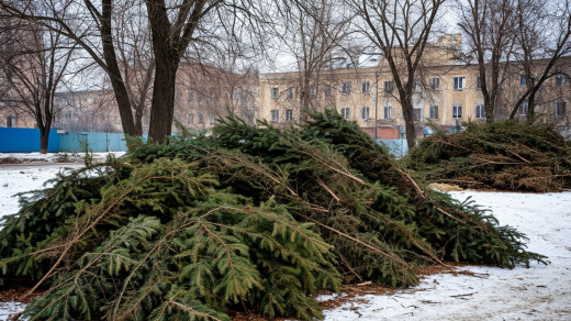 Когда убирать новогоднюю ёлку в 2026 году: удачные даты и запреты