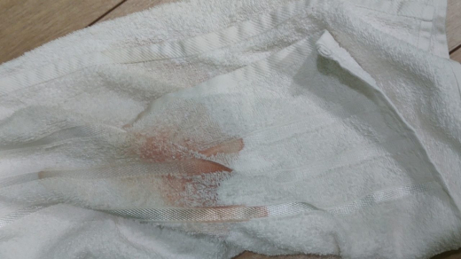 Арендаторы устроили погром в съёмной квартире в Воронежской области