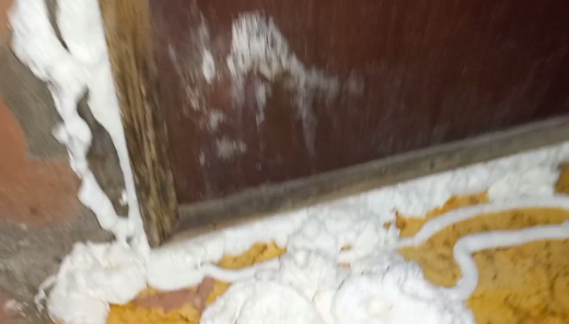 Воронежцы запенили дверь соседской квартиры из-за полчищ тараканов