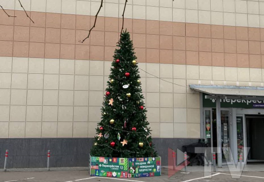 Первую новогоднюю ёлку установили в Воронеже