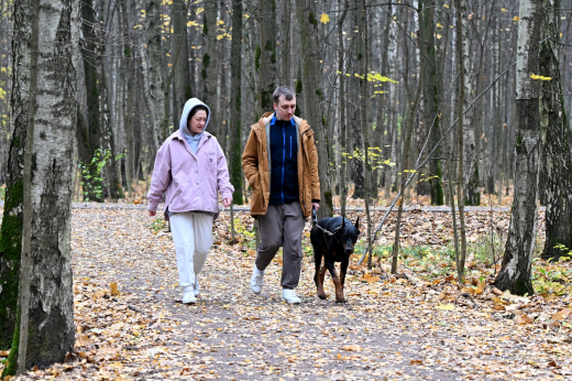 Rambler&Co: 41% россиян испытывает осенью упадок энергии и настроения