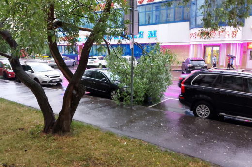 «Желтый» уровень погодной опасности объявили в Москве