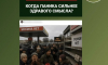 Воронежцев пугают фейком о грядущем исчезновении гречки