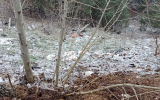 Свалку биологических отходов со специфическим запахом обнаружили в Воронеже