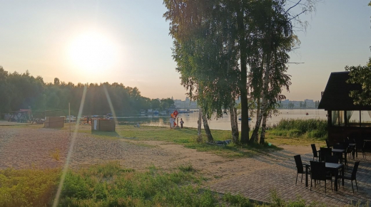 Воронежцы оценили озеленение города: мнения разделились