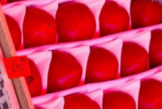 Россиян удивила цена на помидоры в Подмосковье