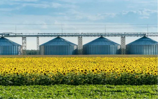 Воронежская компания «Благо-Верхняя Хава» хочет обжаловать взыскание почти 100 млн рублей