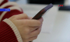 Воронежцам объяснили, когда восстановится доступ к звонкам через Telegram и WhatsApp*