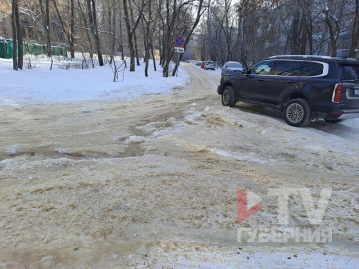 Последствия коммунального бедствия в воронежской Берёзовой роще начали устранять