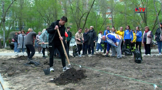 Воронежские школьники и их родители высадили 100 молодых деревьев в память о Победе