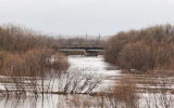 В Воронежской области семь мостов находятся под угрозой затопления