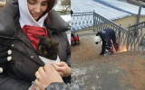 В Воронеже спасли котёнка, просидевшего между бетонными плитами под мостом шесть дней