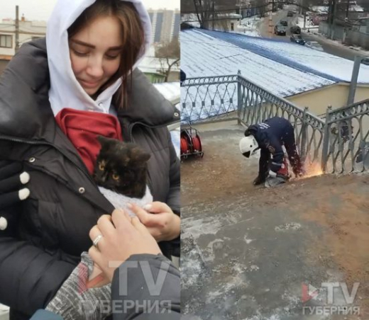 В Воронеже спасли котёнка, просидевшего между бетонными плитами под мостом шесть дней