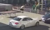 Неадекватный воронежец прыгал по чужим авто и попал на видео