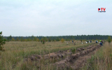В рамках акции «Сохраним лес» воронежцы восстанавливают зелёную зону на Кожевенном кордоне