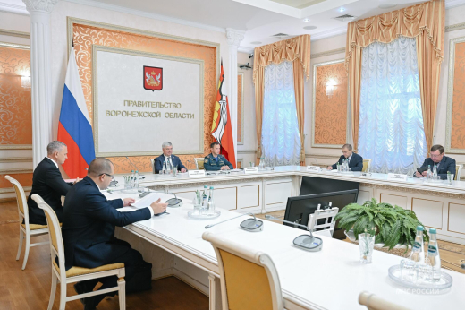 Правительственная комиссия обсудила вопросы безопасности и ликвидации ЧС в режиме видеоконференции
