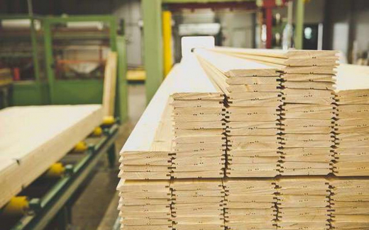 «Русский лесной альянс» инвестирует 3 млрд рублей в деревообработку Карелии