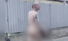 Мужчина прогулялся голышом по центру Москвы и попал на видео