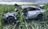 Авто бизнес-класса вылетело с дороги в кукурузное поле под Воронежем: погиб мужчина